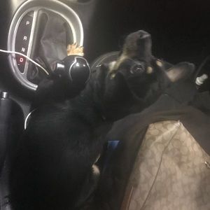 Meet your Posher, Jan